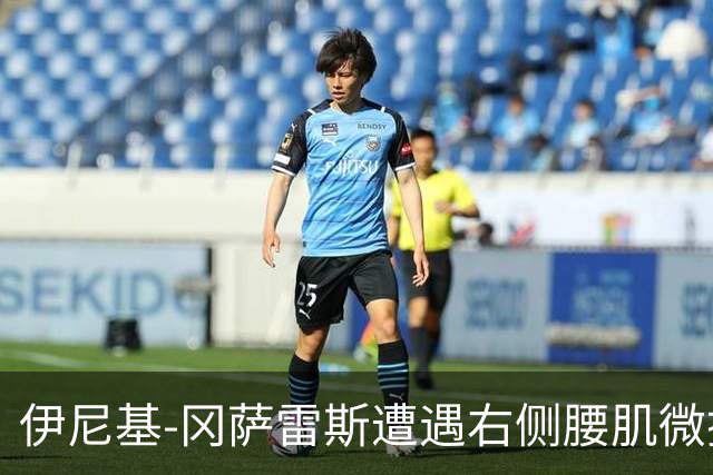 伊尼基-冈萨雷斯遭遇右侧腰肌微撕裂，缺席赛场3至4周